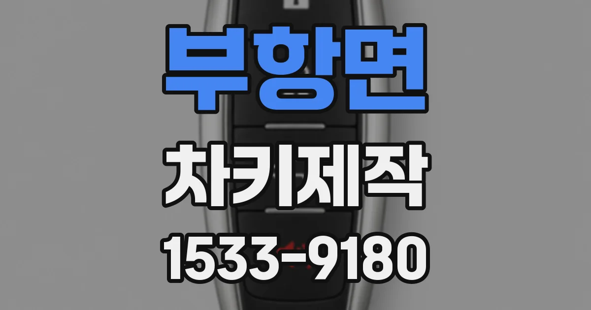 부항면 차키제작