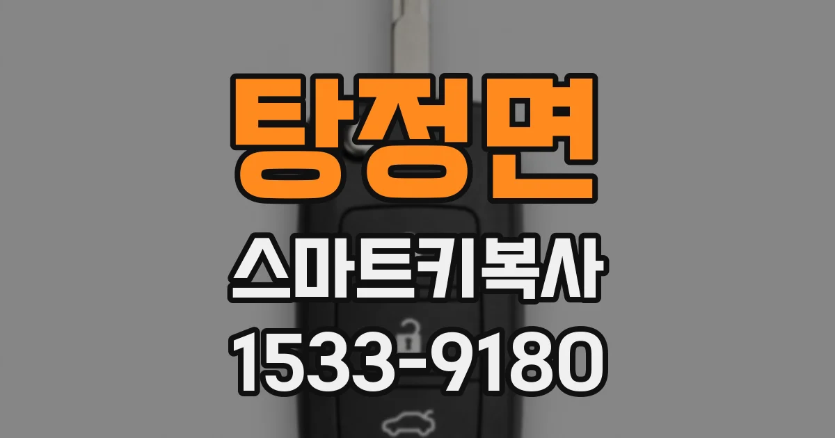 탕정면 스마트키복사