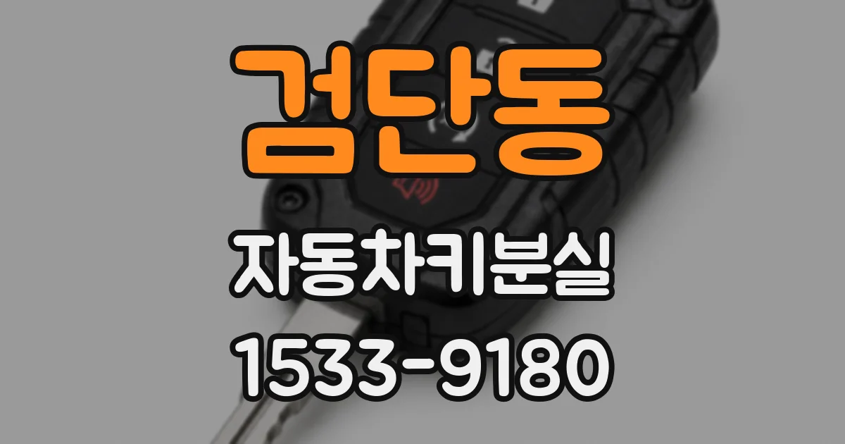 검단동 자동차키분실