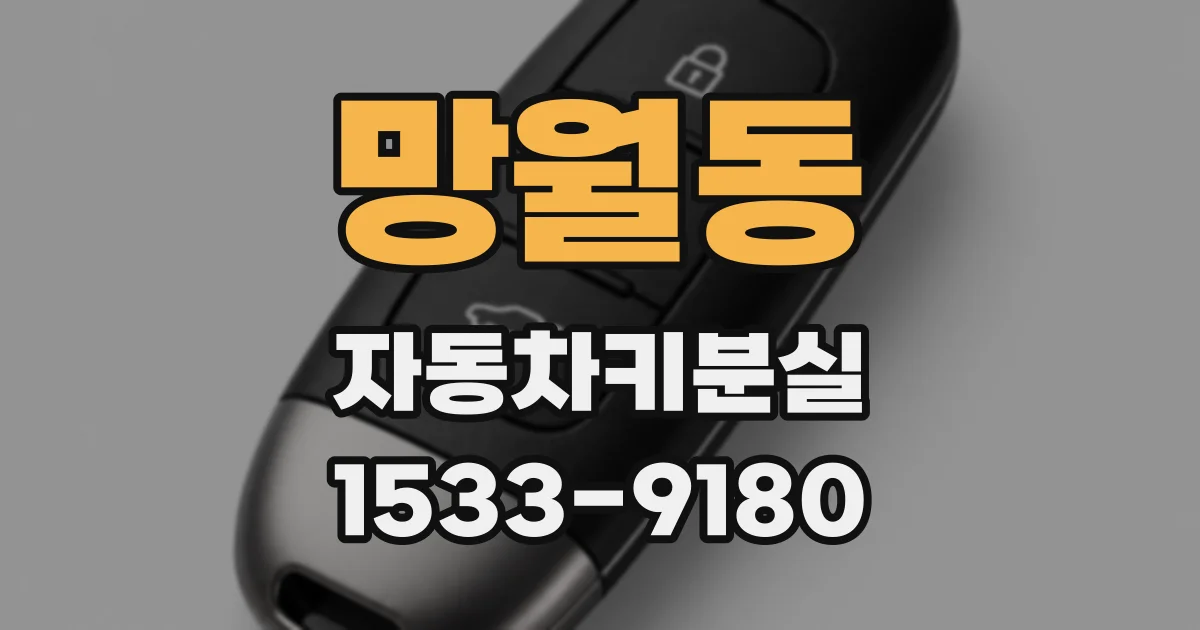 망월동 자동차키분실