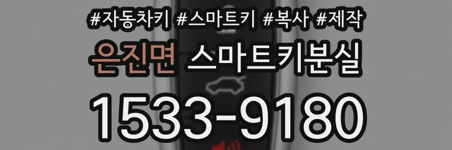 은진면 스마트키분실