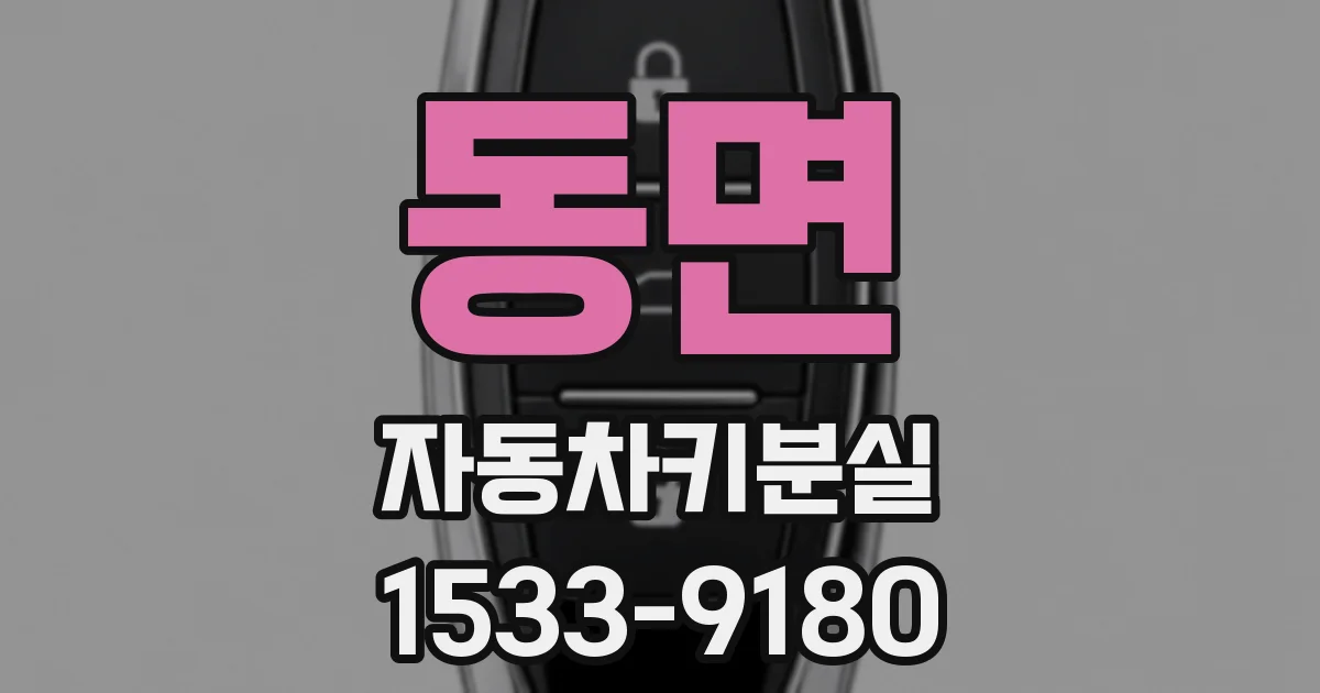 동면 자동차키분실