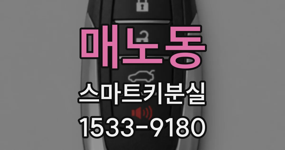 매노동 스마트키분실