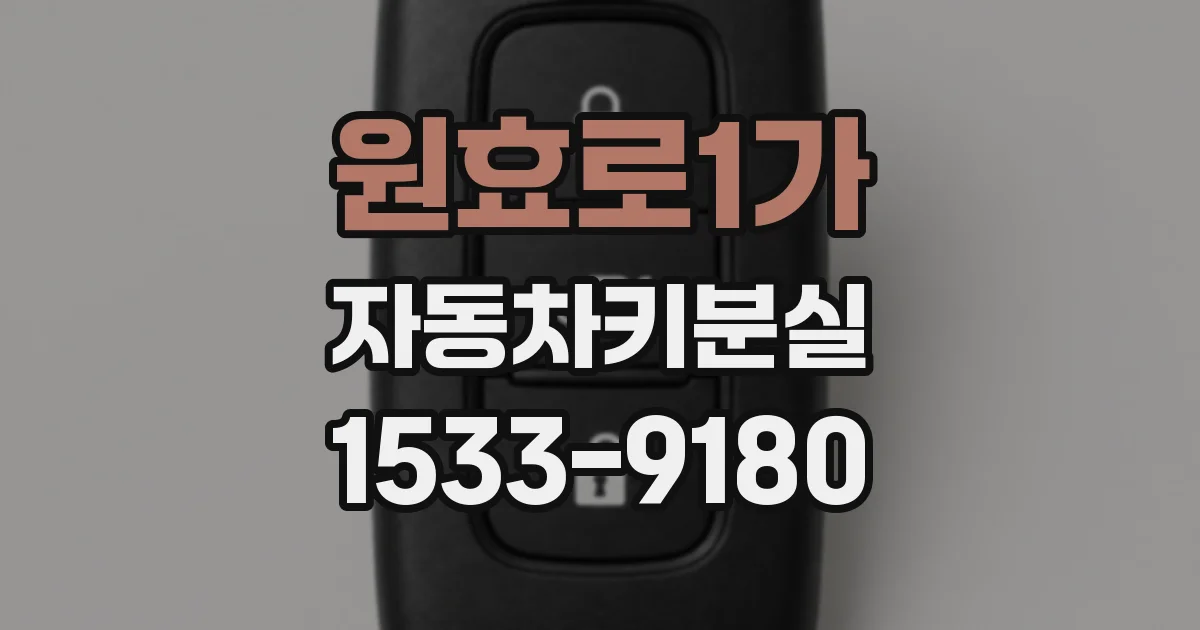 원효로1가 자동차키분실
