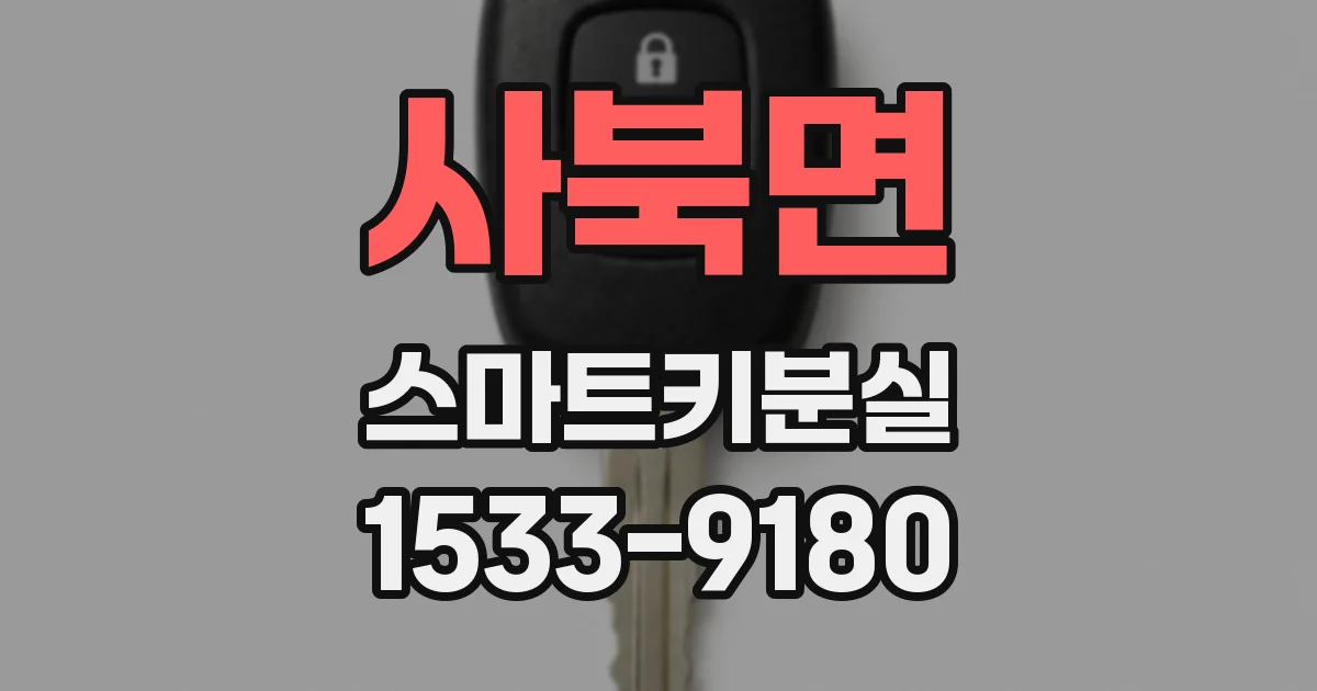 사북면 스마트키분실
