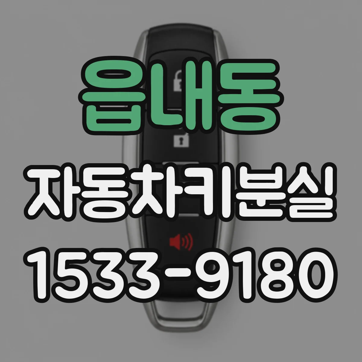읍내동 자동차키분실