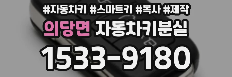 의당면 자동차키분실