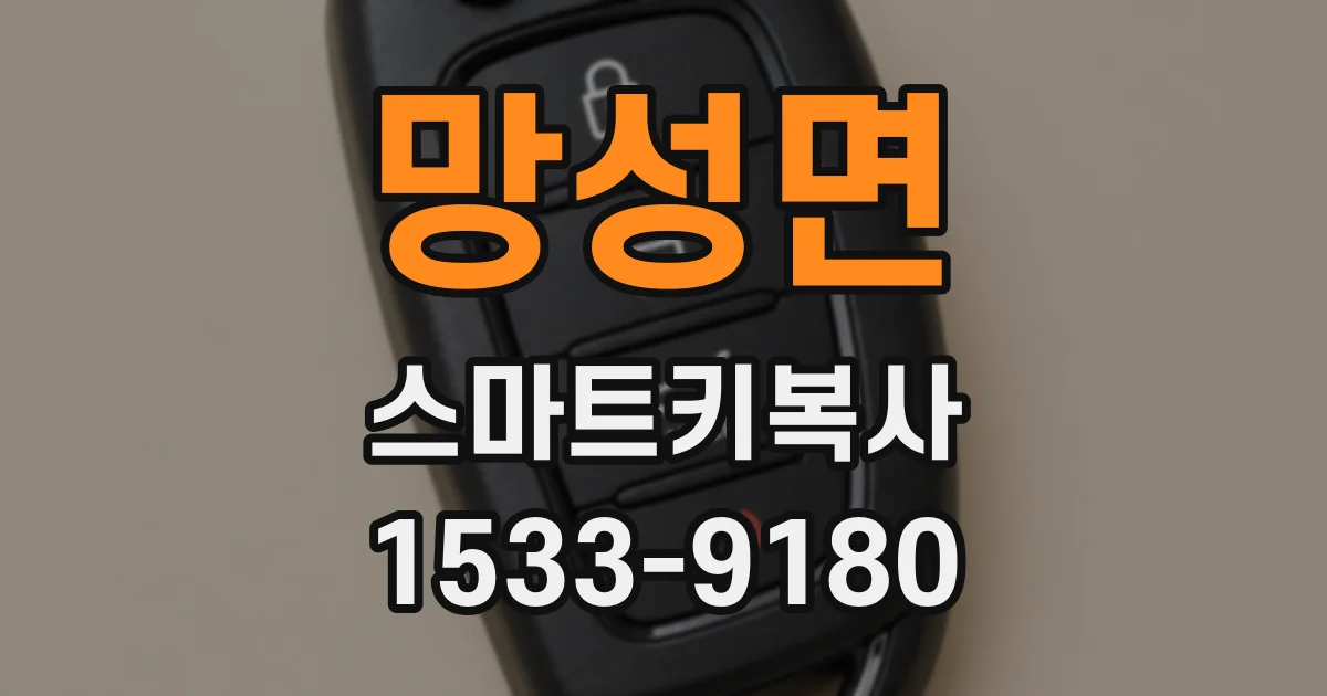 망성면 스마트키복사