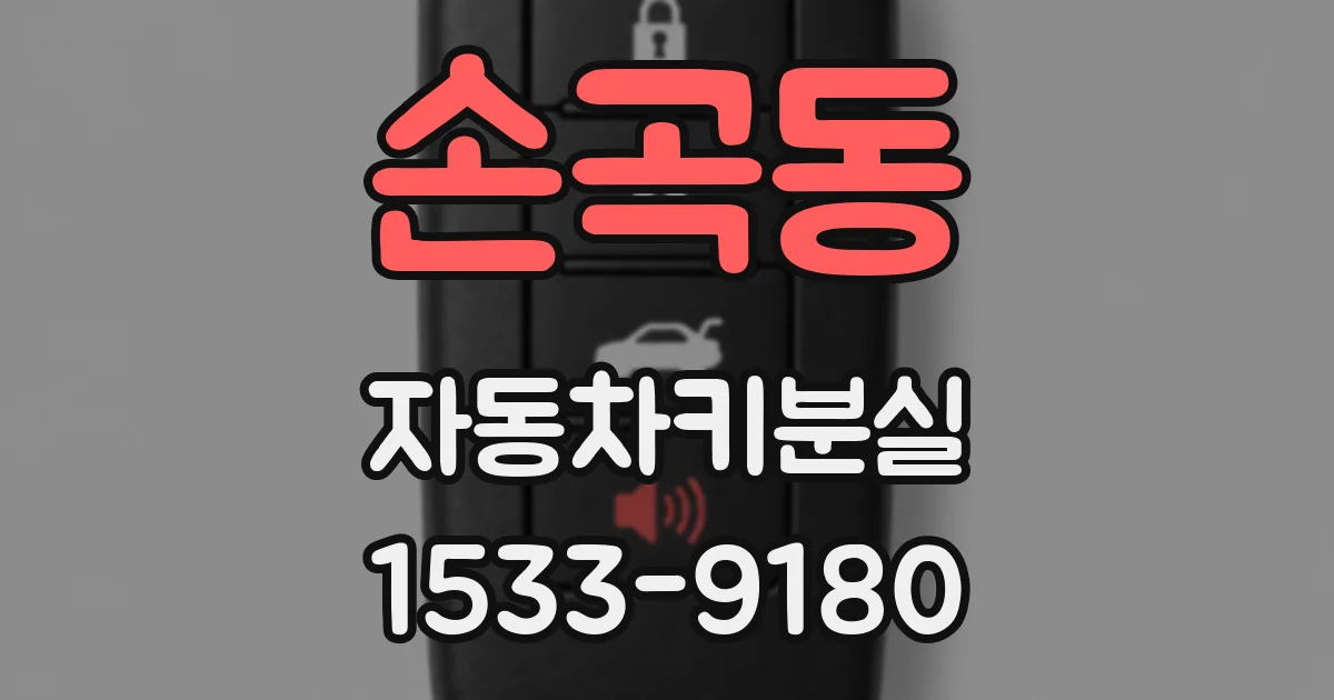 손곡동 자동차키분실