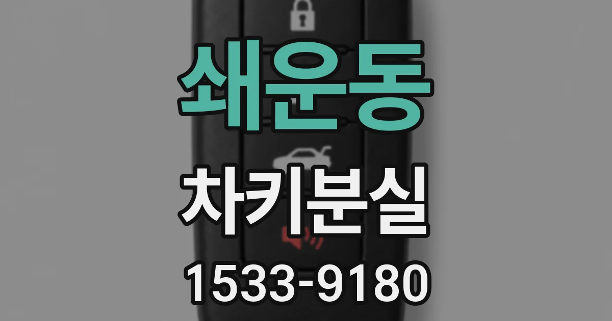 쇄운동 차키분실