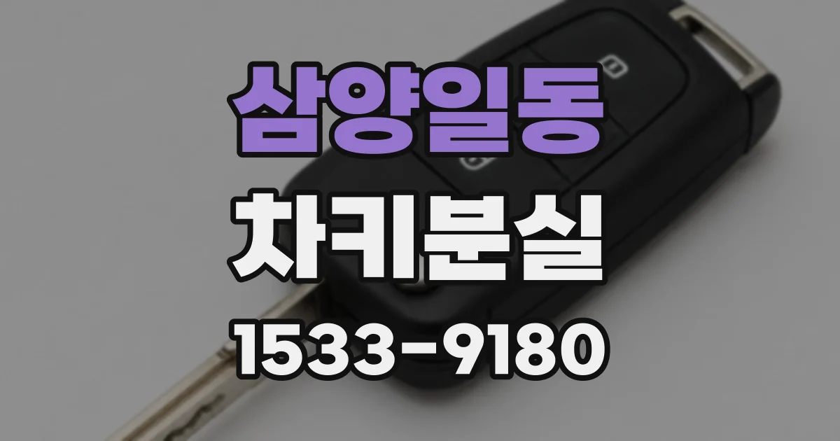 삼양일동 차키분실