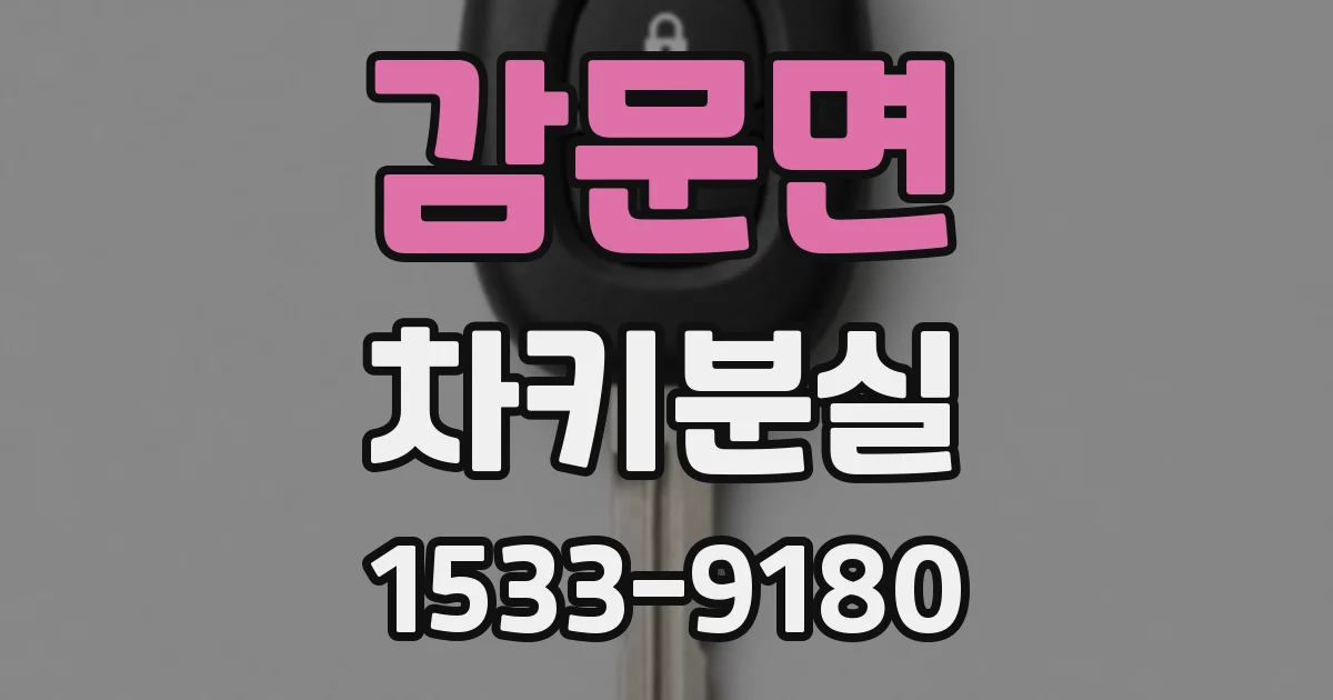 감문면 차키분실