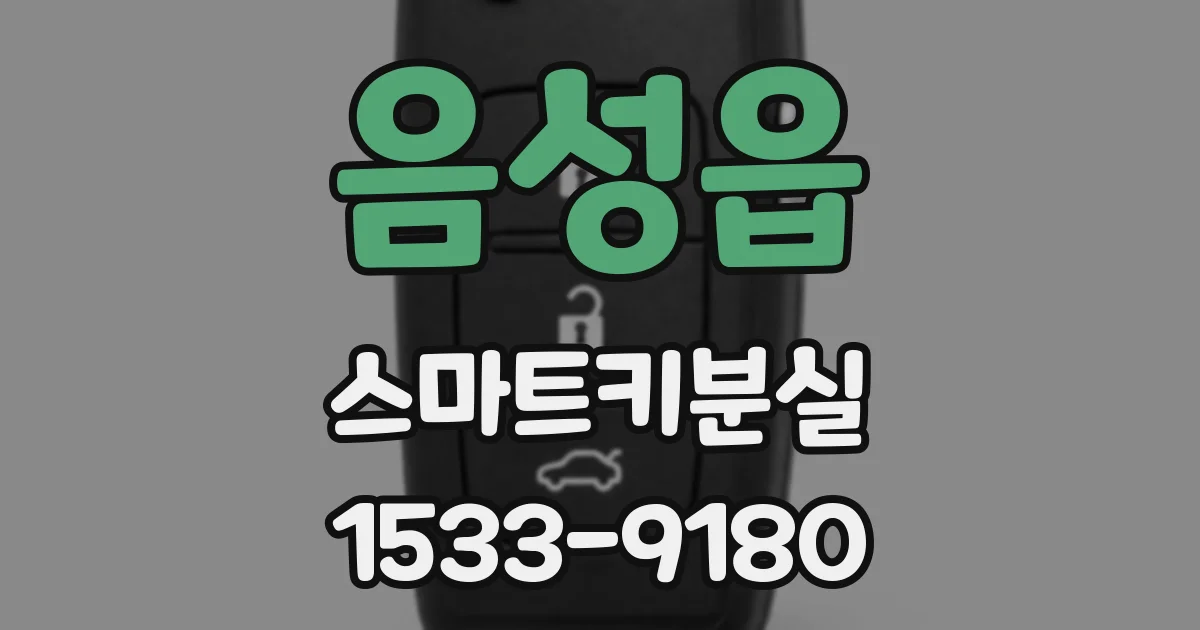음성읍 스마트키분실