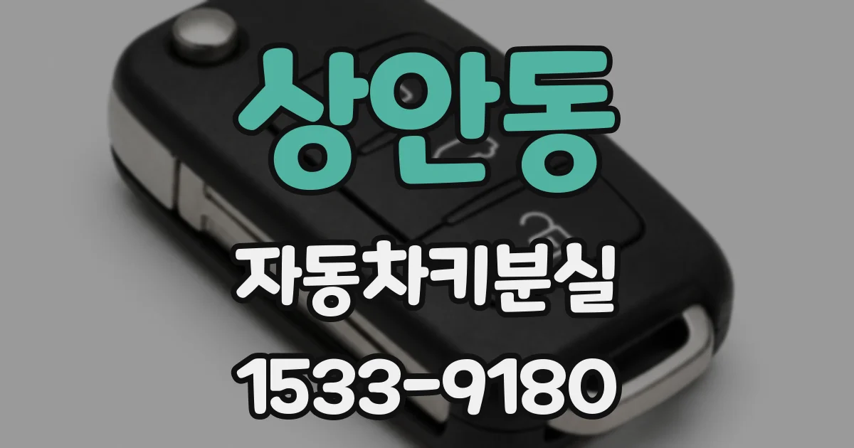 상안동 자동차키분실