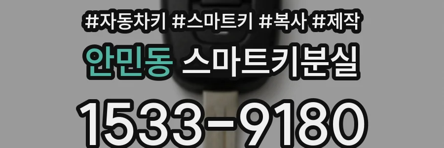 안민동 스마트키분실