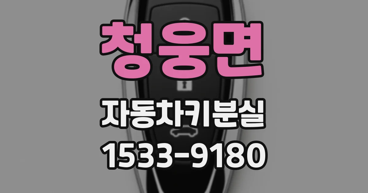 청웅면 자동차키분실