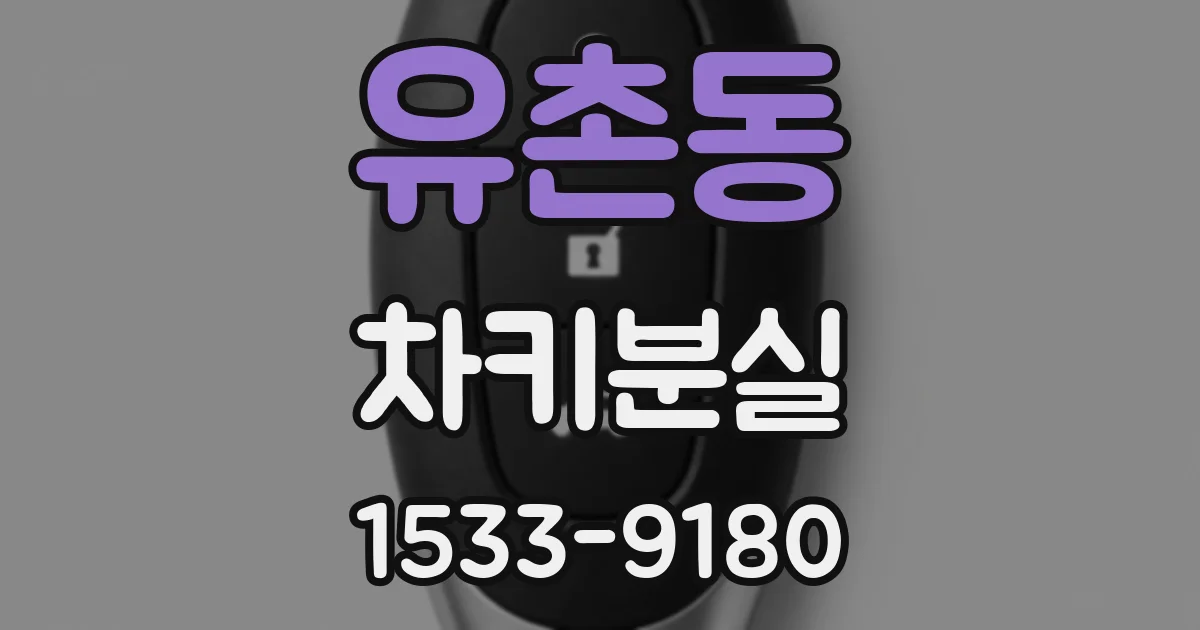 유촌동 차키분실