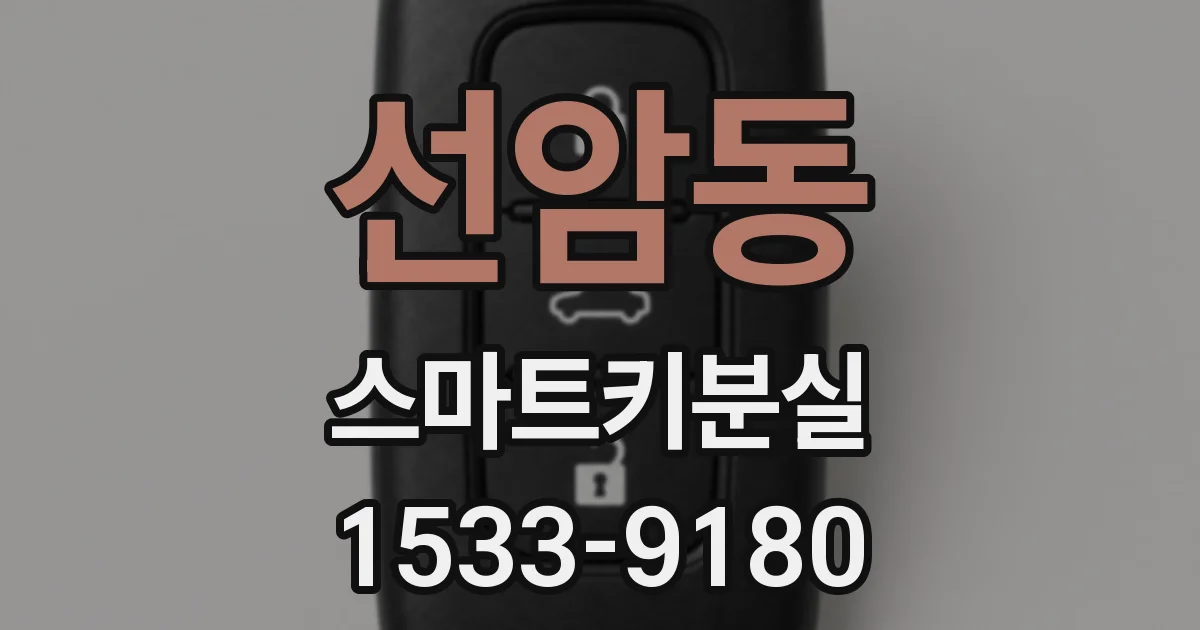 선암동 스마트키분실