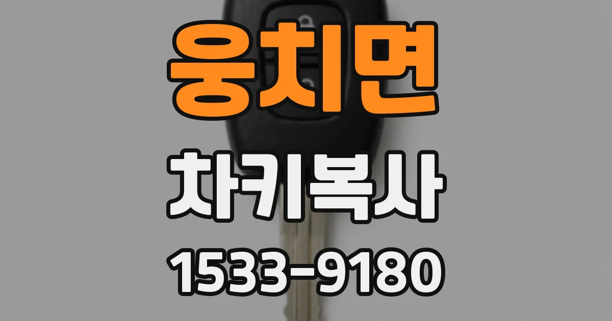 웅치면 차키복사