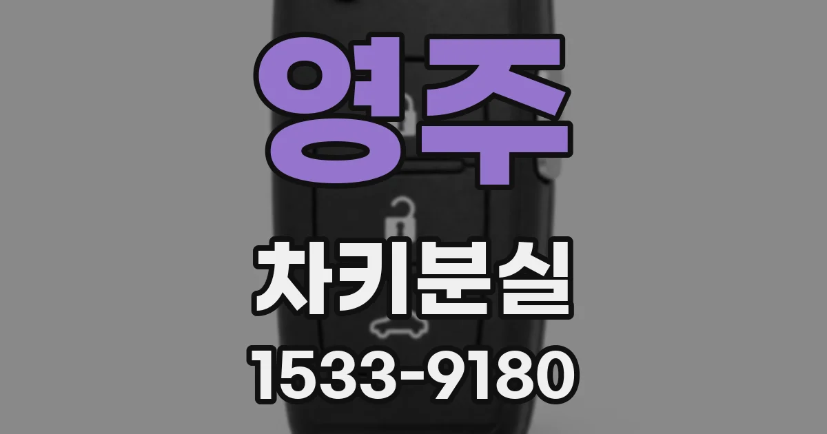 영주 차키분실