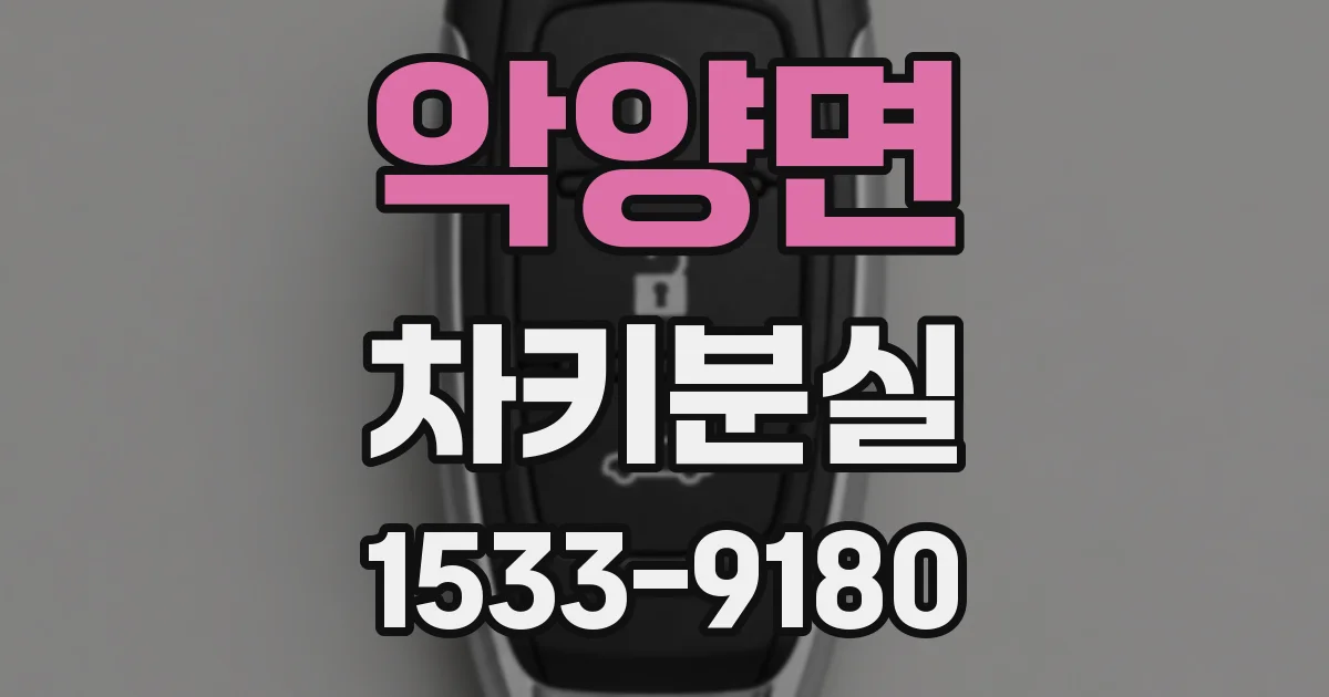악양면 차키분실