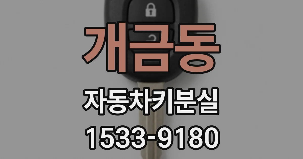 개금동 자동차키분실