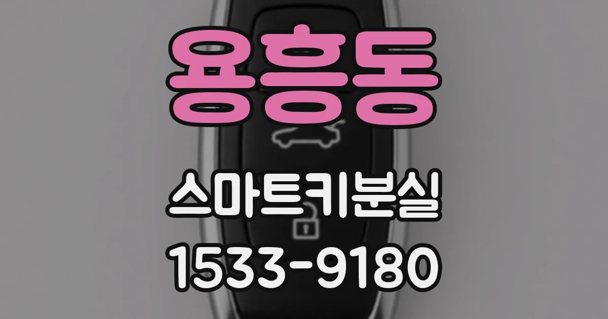 용흥동 스마트키분실