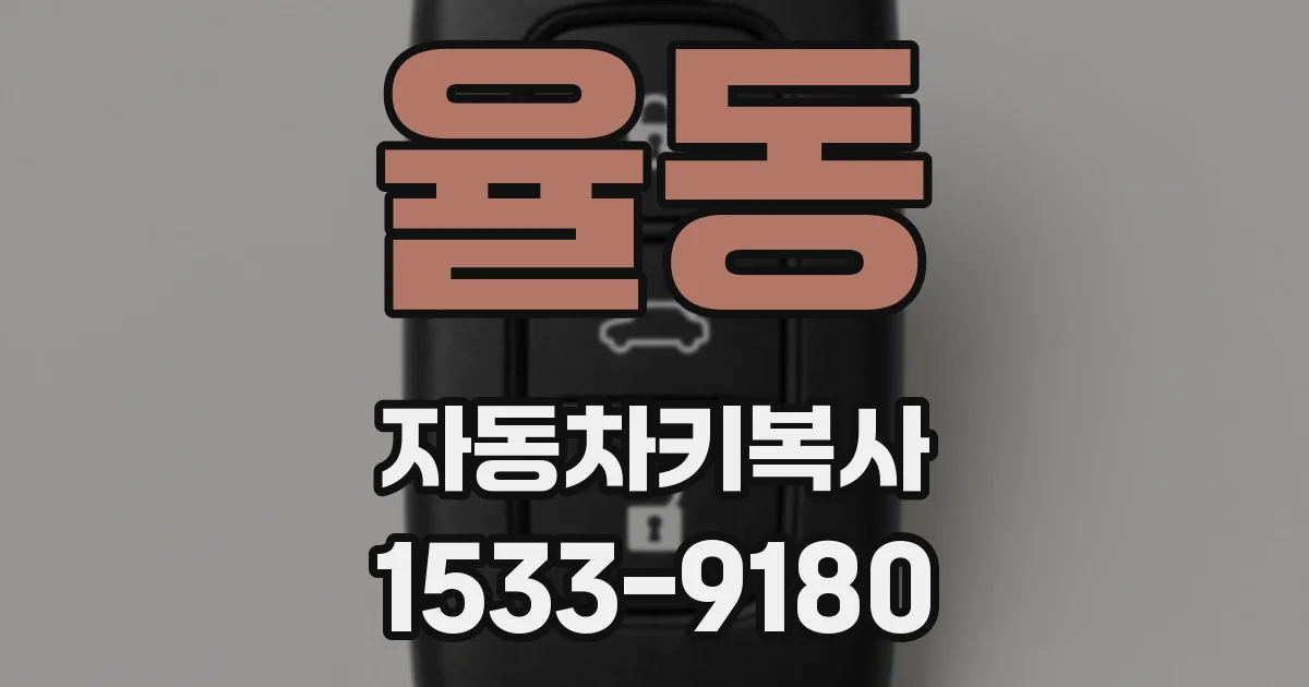 율동 자동차키복사