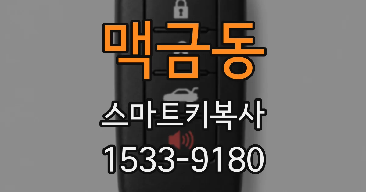 맥금동 스마트키복사