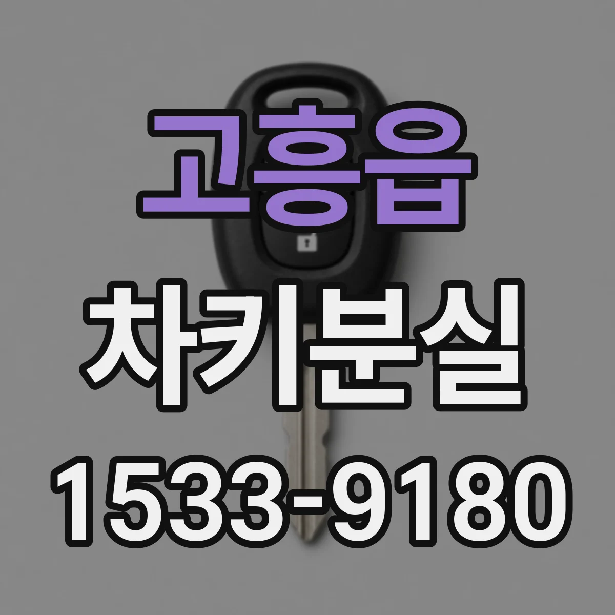 고흥읍 차키분실