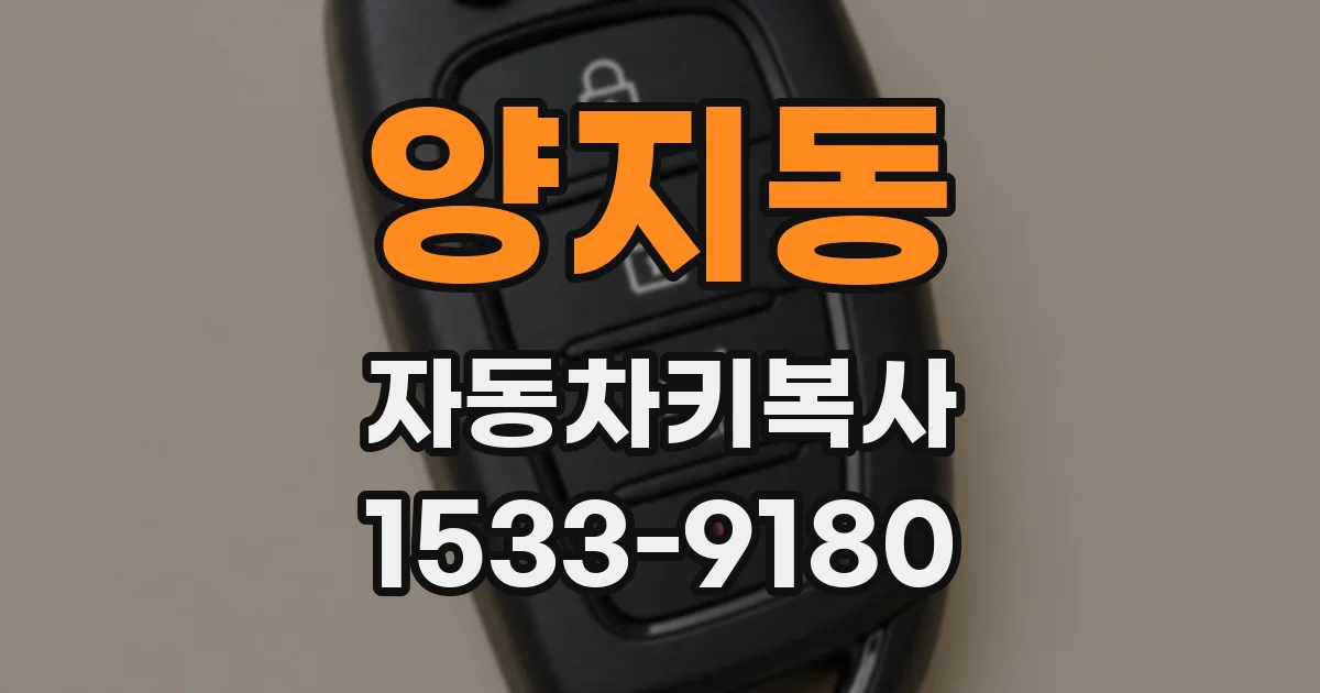 양지동 자동차키복사