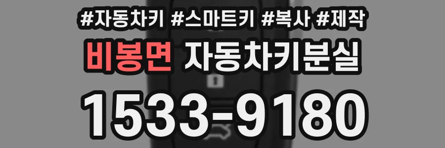비봉면 자동차키분실