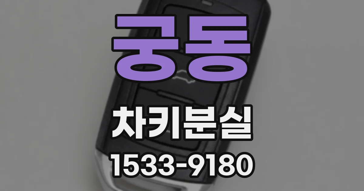 궁동 차키분실