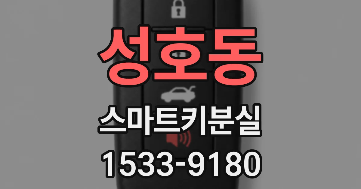 성호동 스마트키분실
