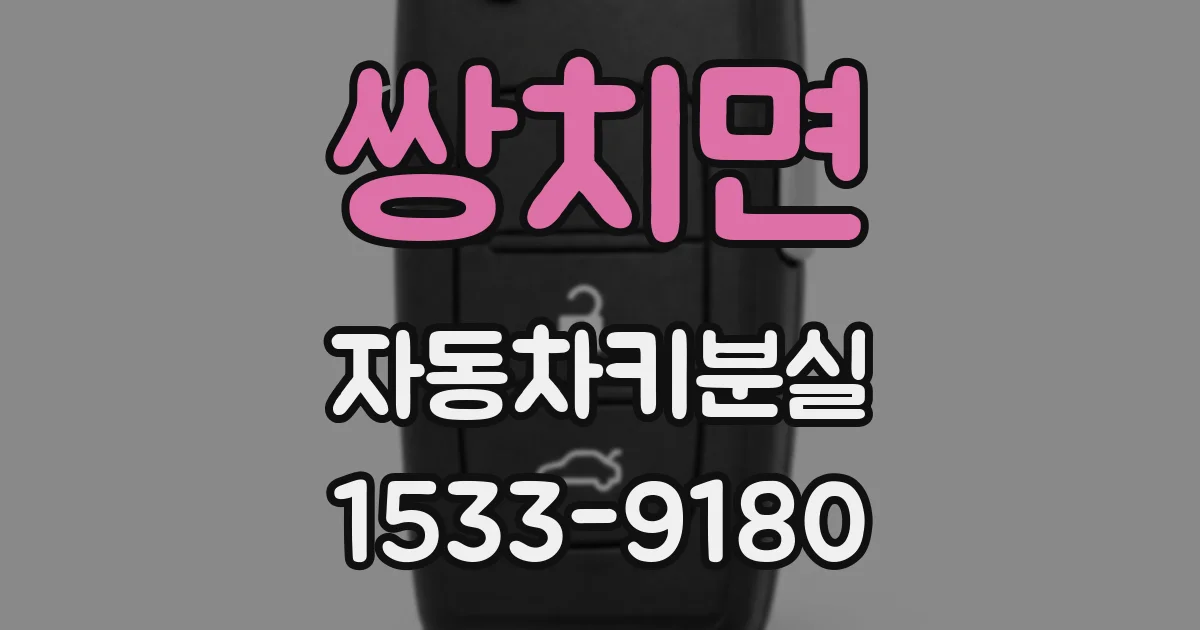쌍치면 자동차키분실