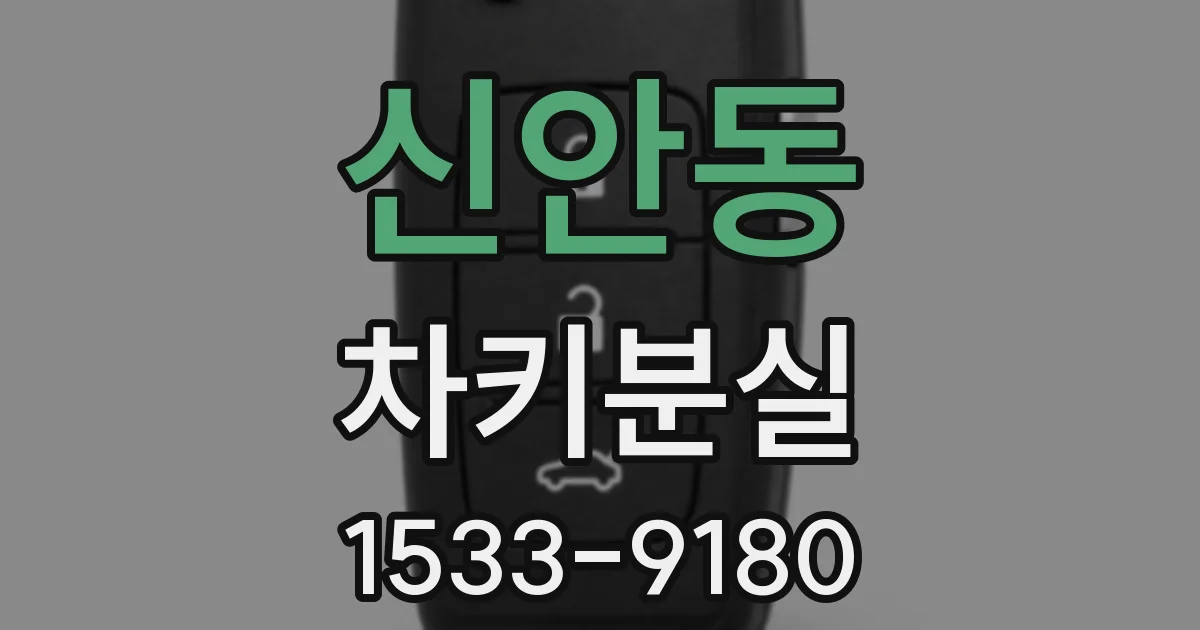 신안동 차키분실