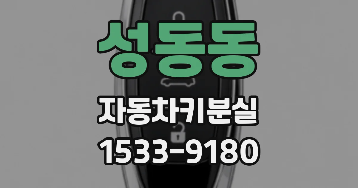 성동동 자동차키분실