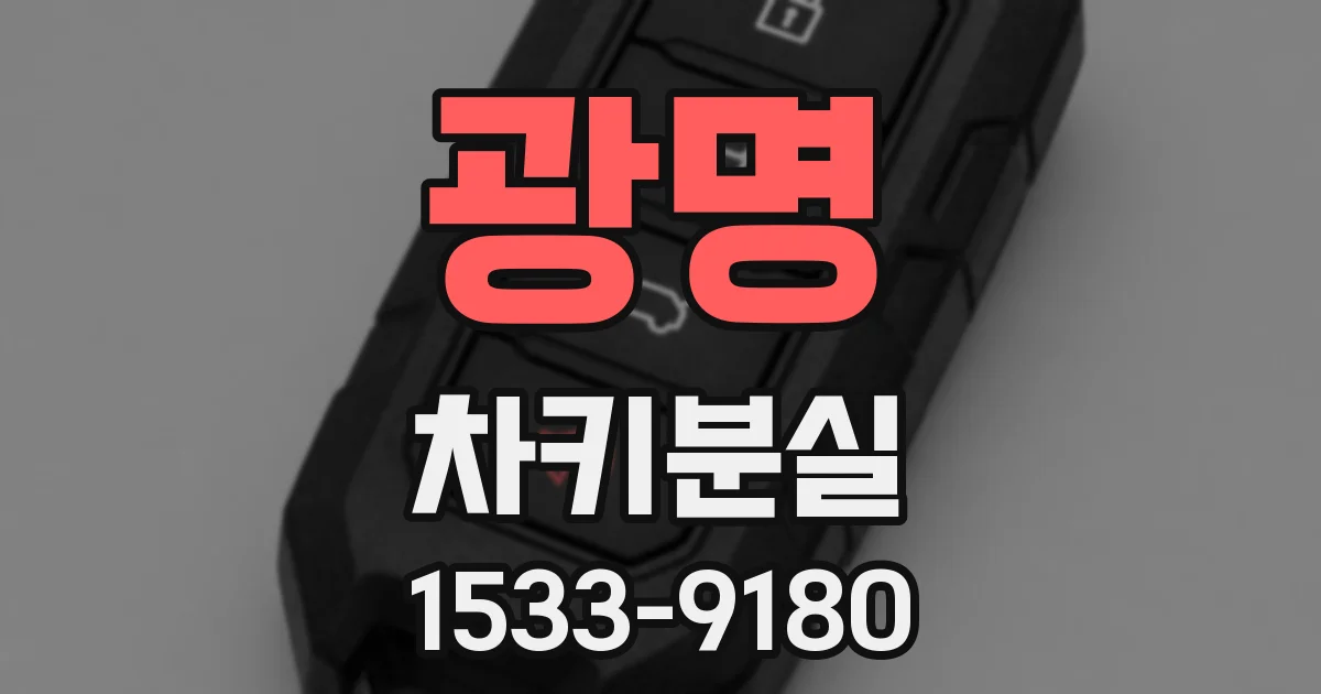 광명 차키분실