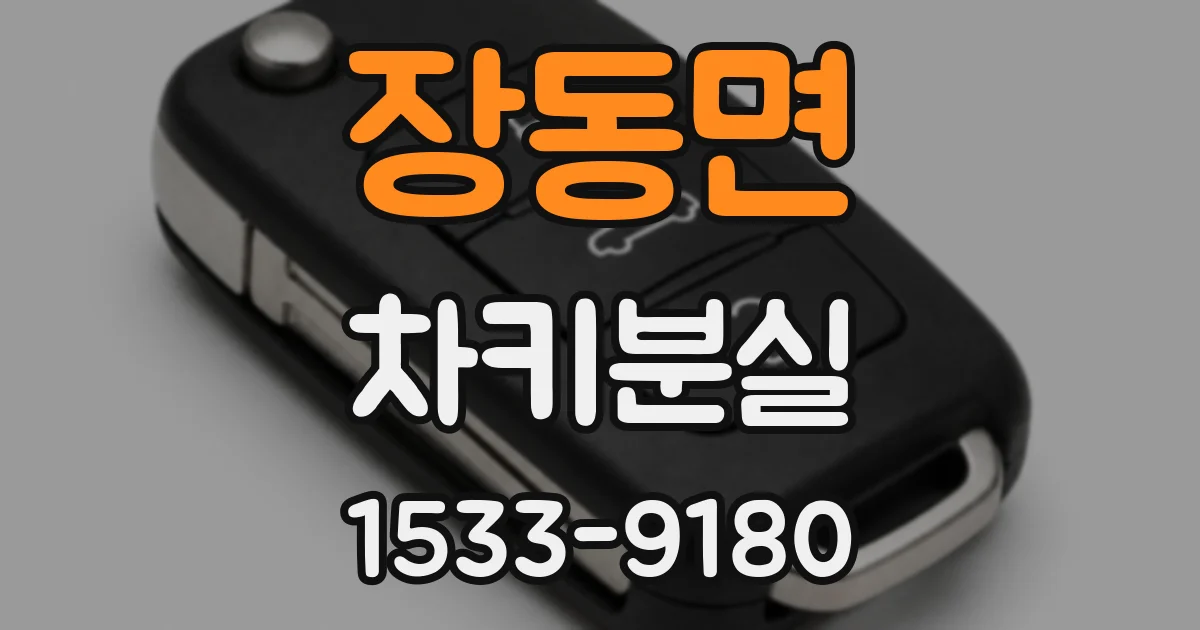 장동면 차키분실