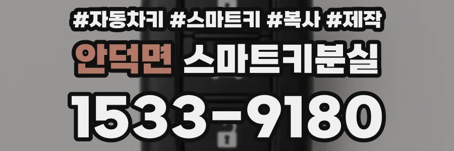 안덕면 스마트키분실