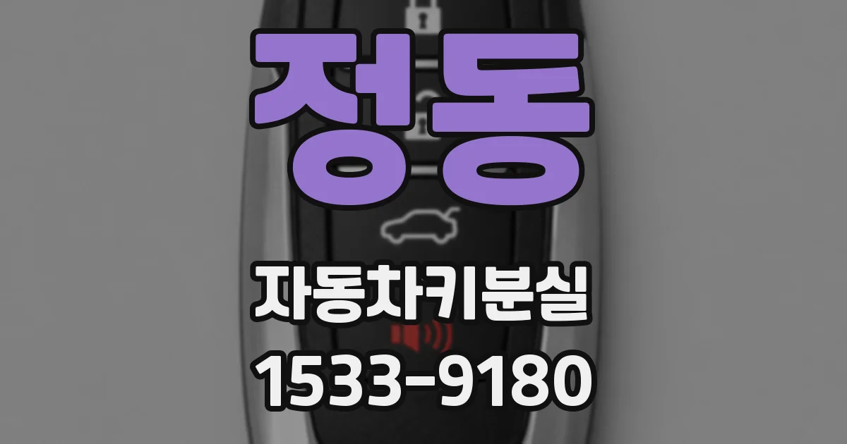 정동 자동차키분실