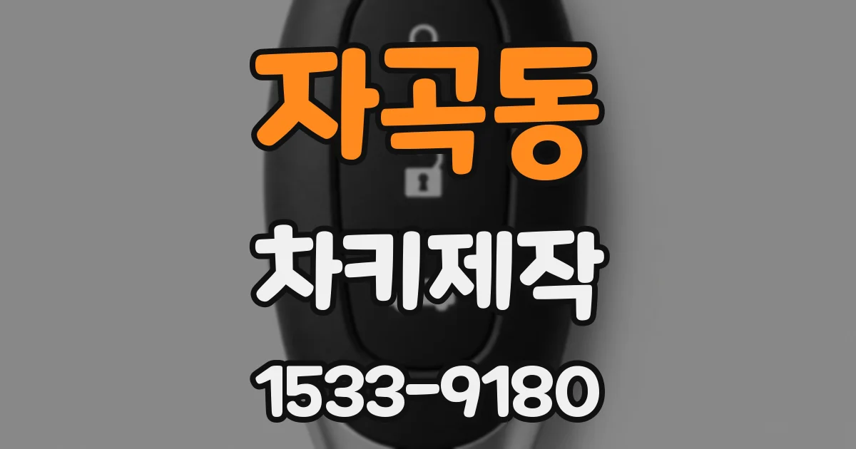 자곡동 차키제작