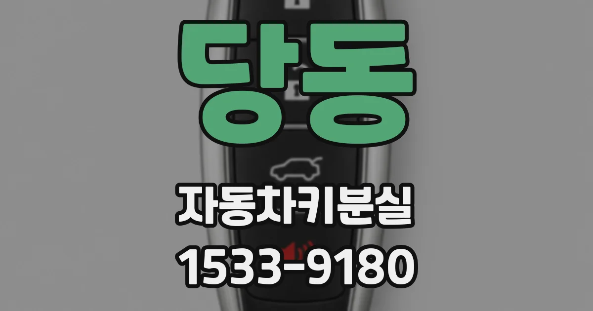 당동 자동차키분실