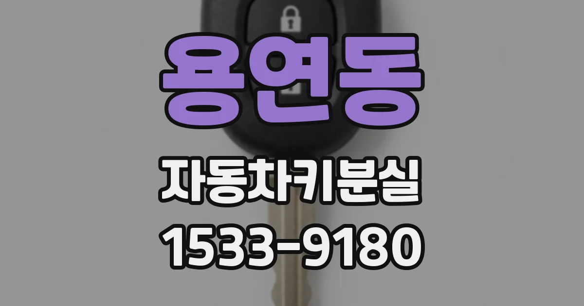 용연동 자동차키분실
