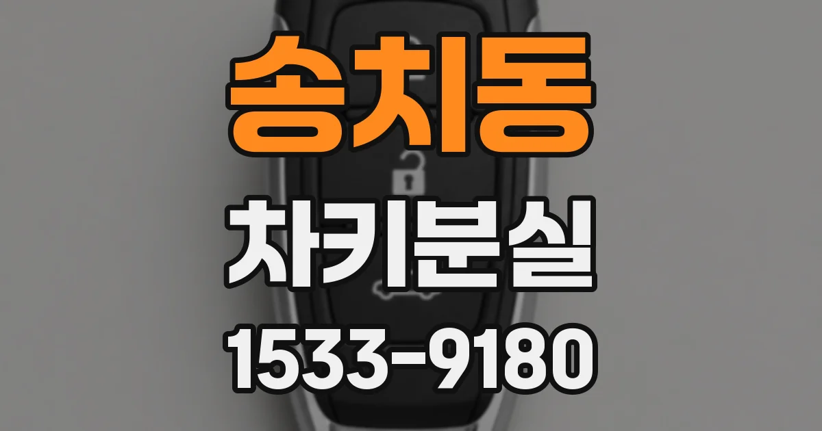 송치동 차키분실