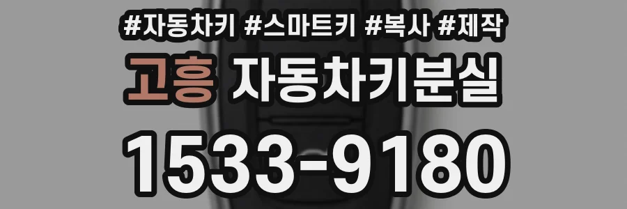 고흥 자동차키분실