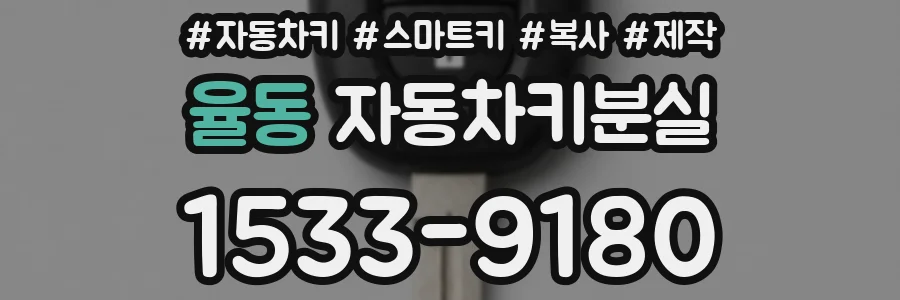 율동 자동차키분실