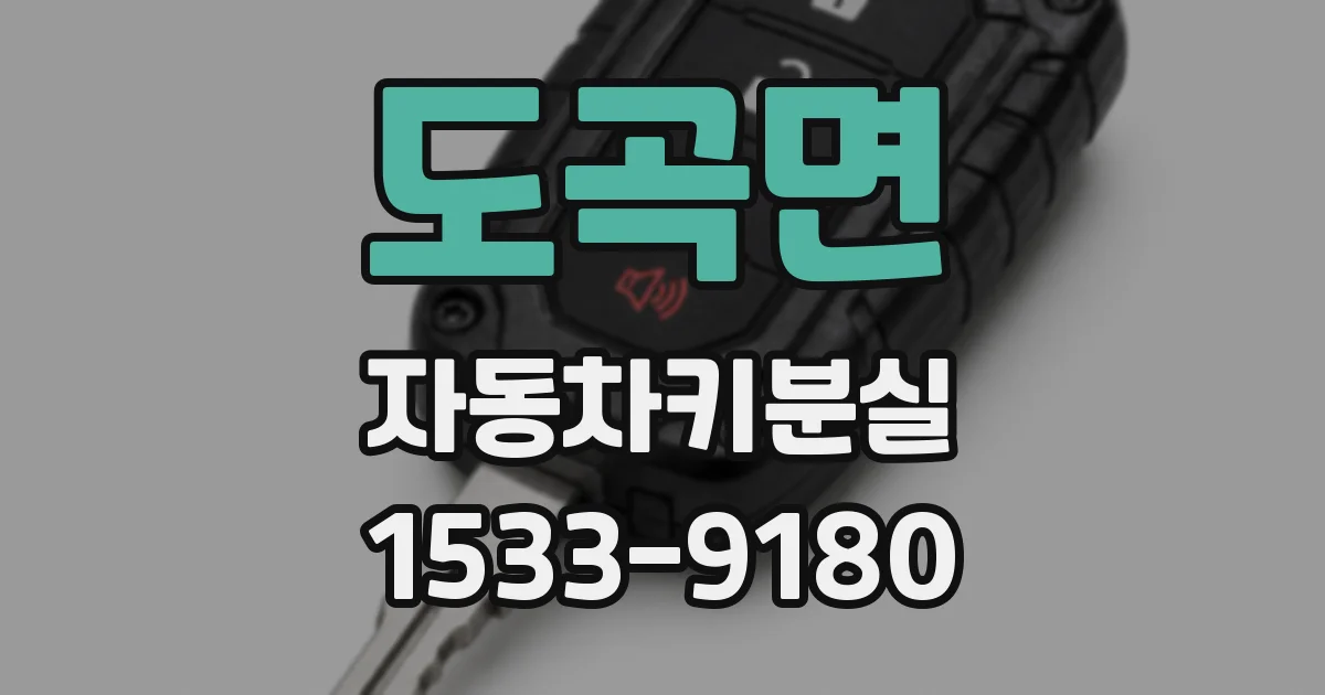 도곡면 자동차키분실