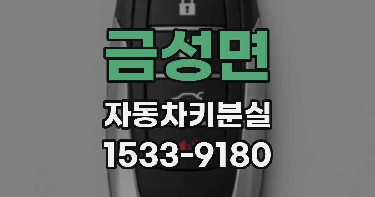금성면 자동차키분실