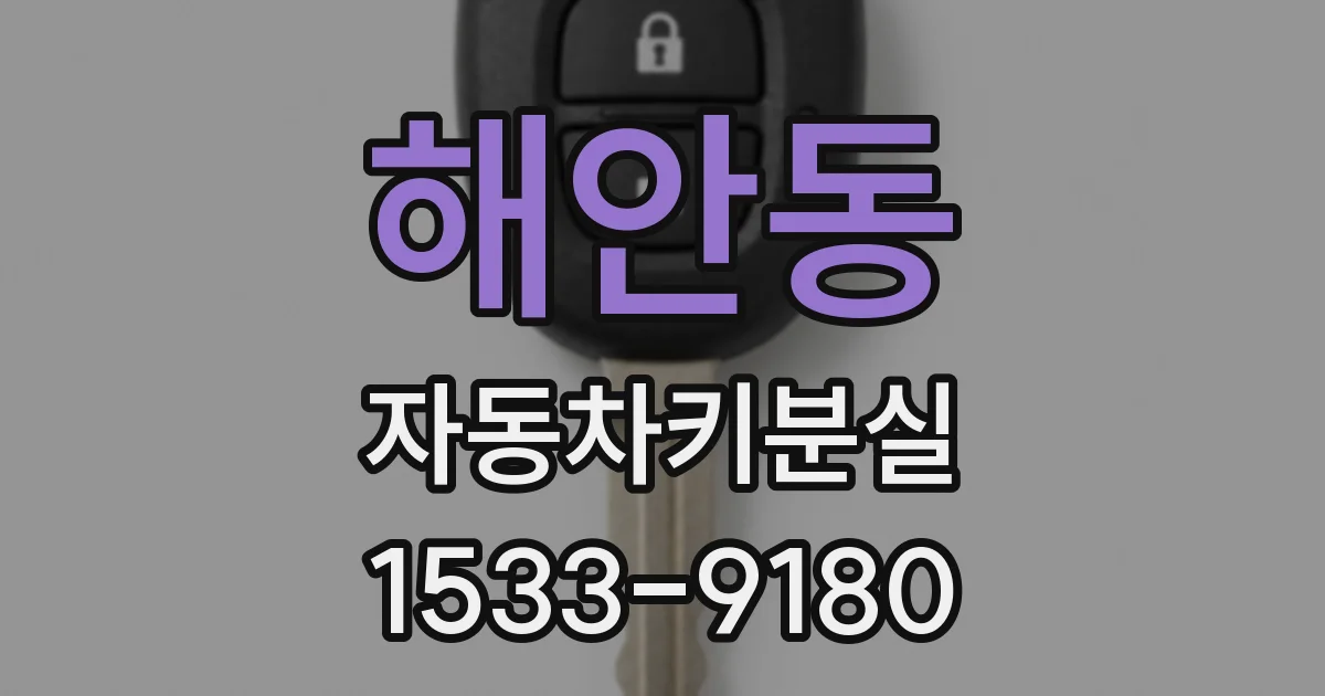 해안동 자동차키분실